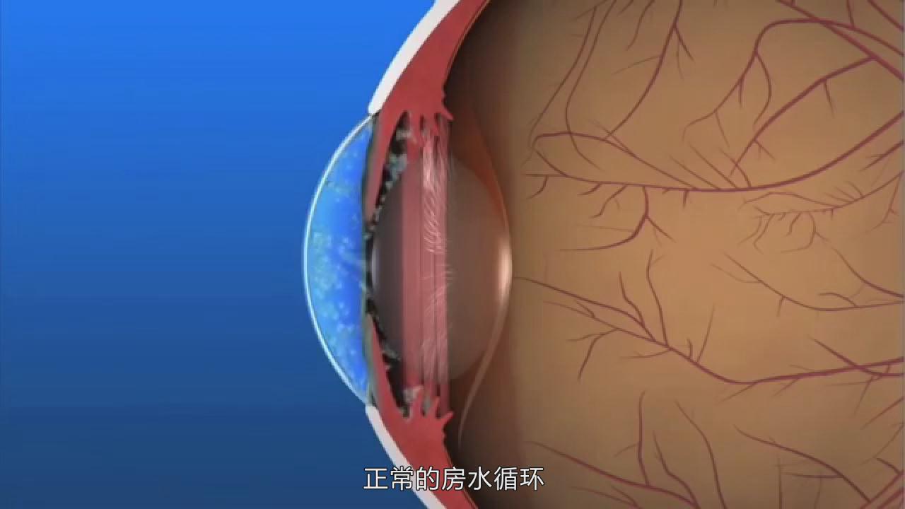 &#26131;&#28216;&#32593;&#39029;&#29256;&#45;&#26131;&#28216;&#40;&#20013;&#22269;&#41;